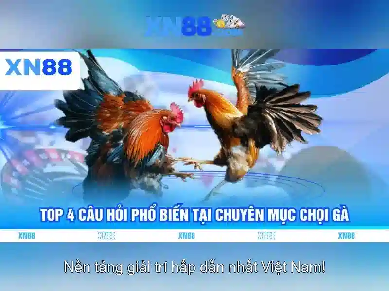 Giao dien trang chu nha cai XN88 san sang cho viec dang nhap