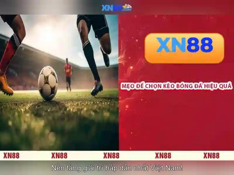 BaoMat