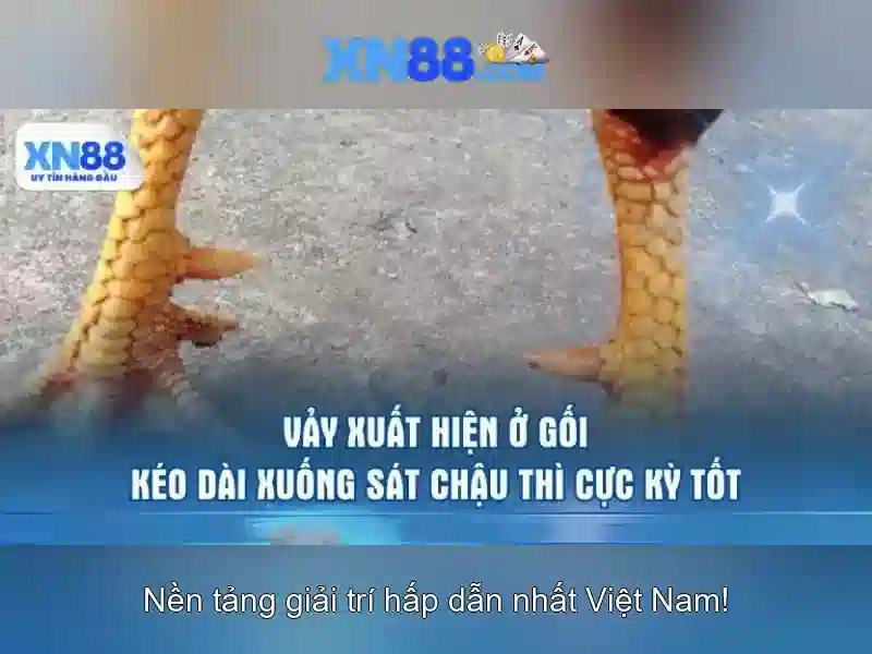 Bảo mật và thanh toán