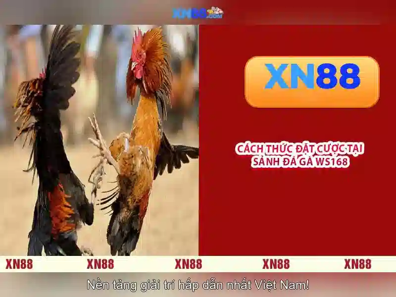 Tính năng chính và cách hoạt động