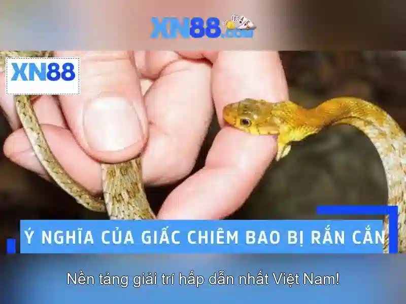 Trải nghiệm người dùng