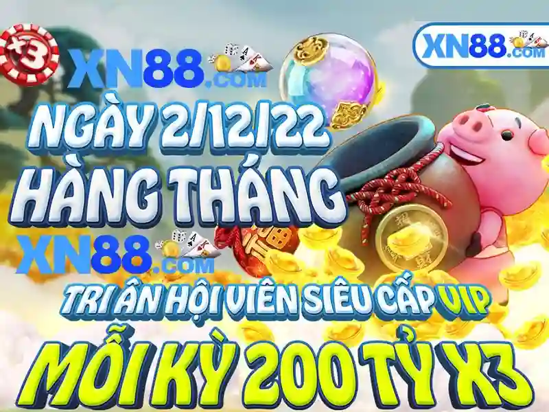 Trải nghiệm người dùng và tương tác di động