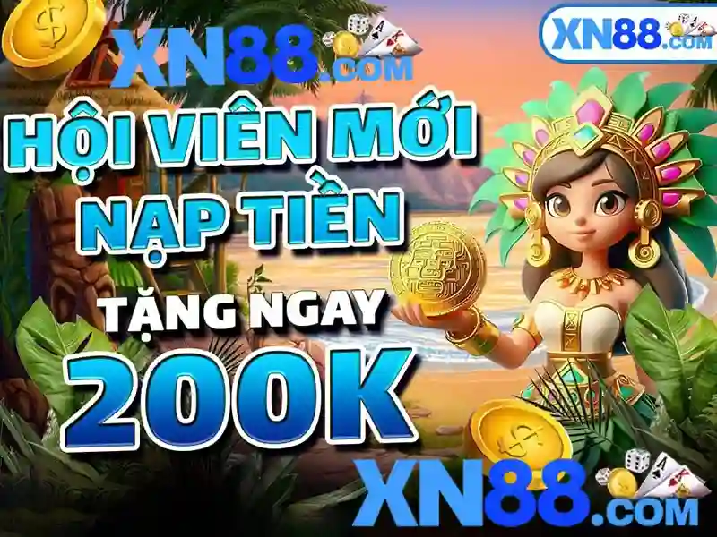 Hỗ trợ người dùng
