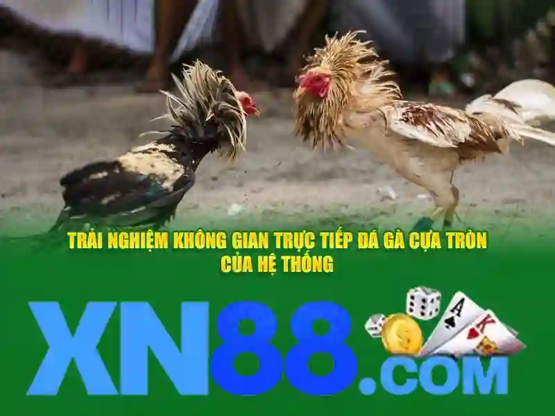 Tính năng và trò chơi nổi bật